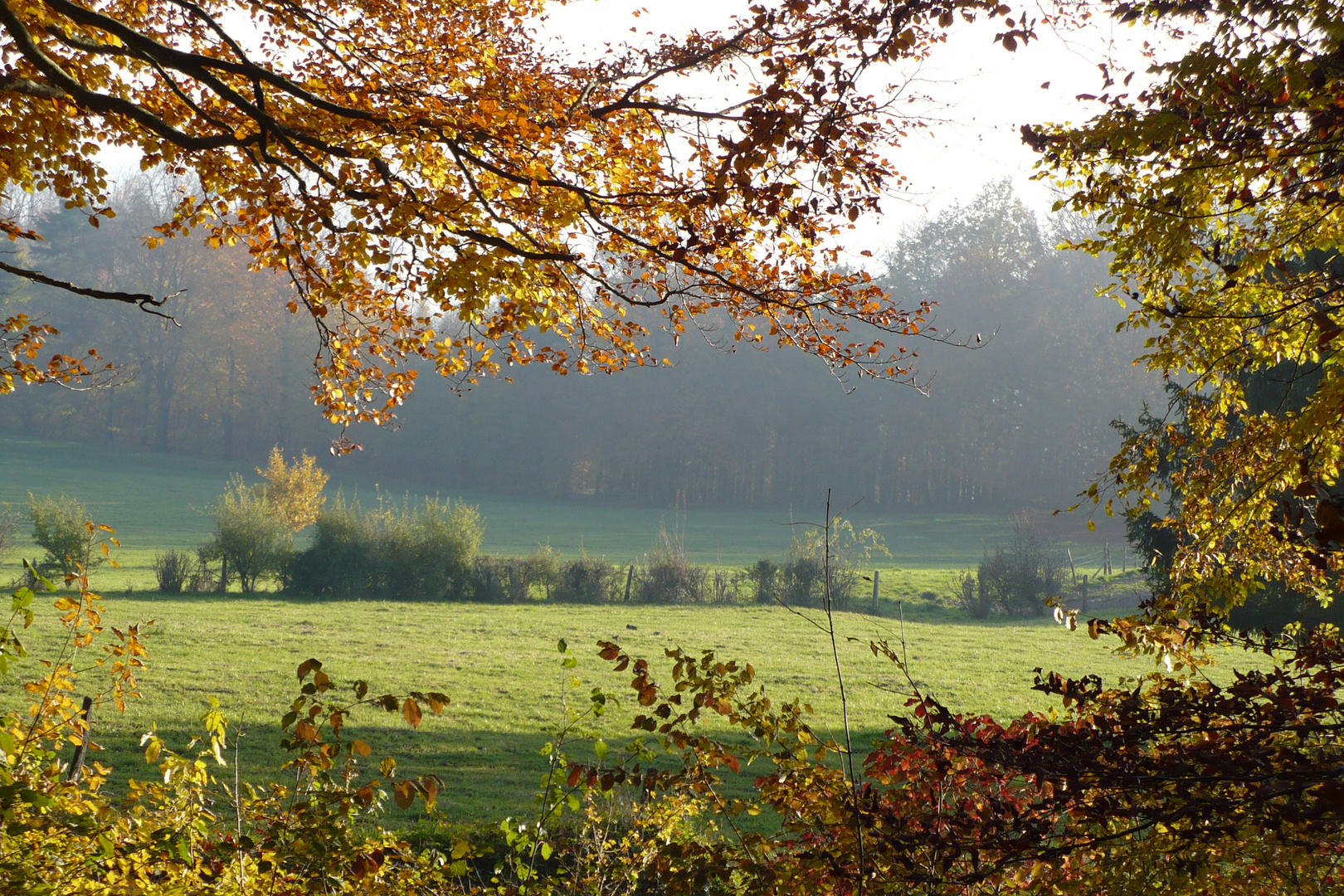 Herbstfarben