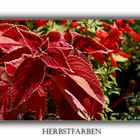 Herbstfarben