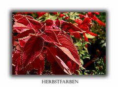 Herbstfarben