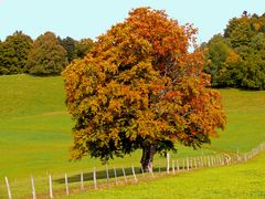 Herbstfarben