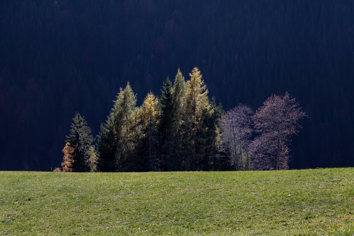 Herbstfarben