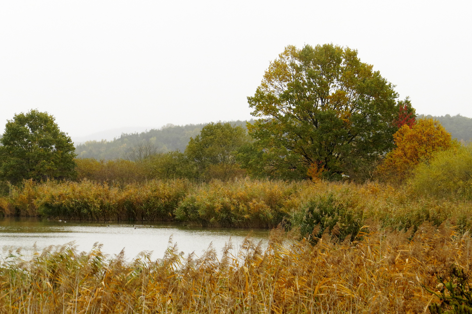 Herbstfarben