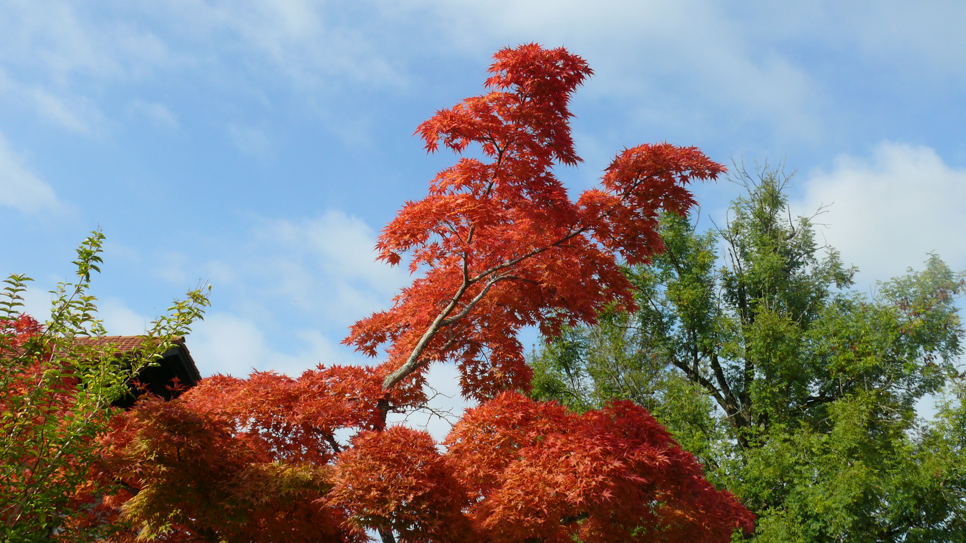 herbstfarben