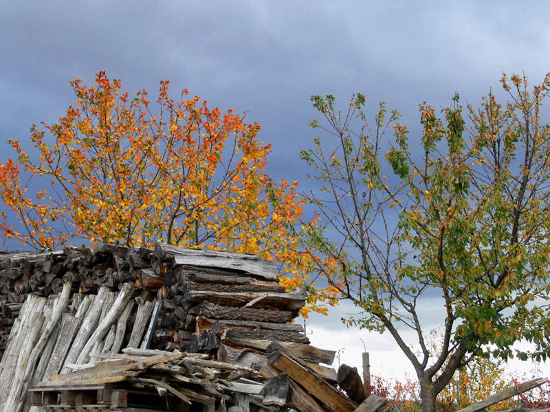 Herbstfarben