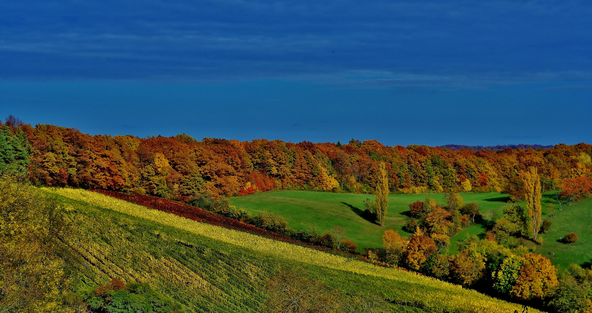 Herbstfarben