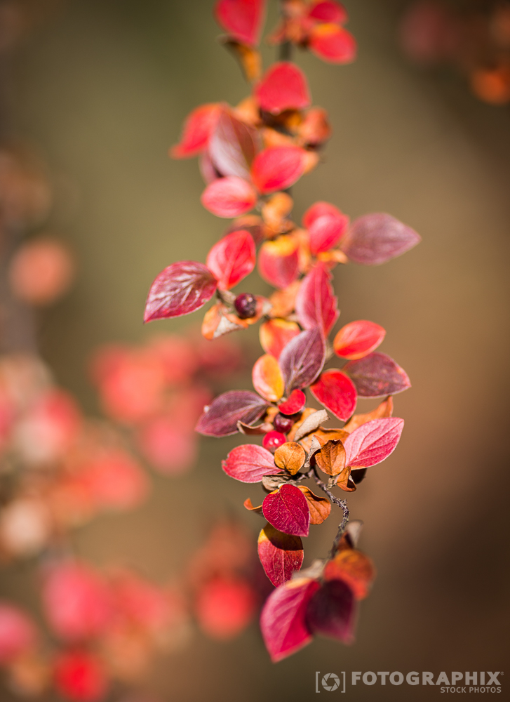 Herbstfarben