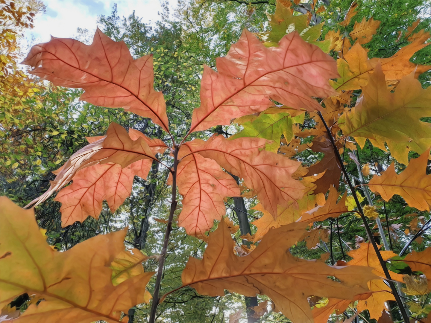 Herbstfarben