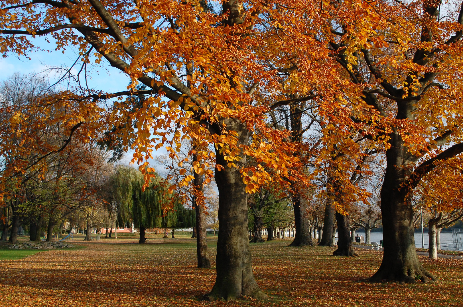 Herbstfarben