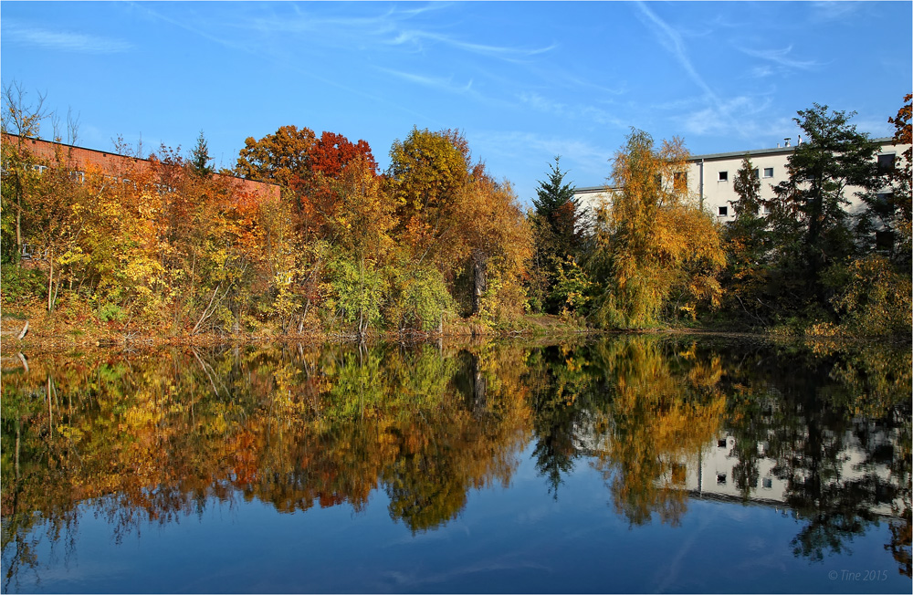 HERBSTfarben