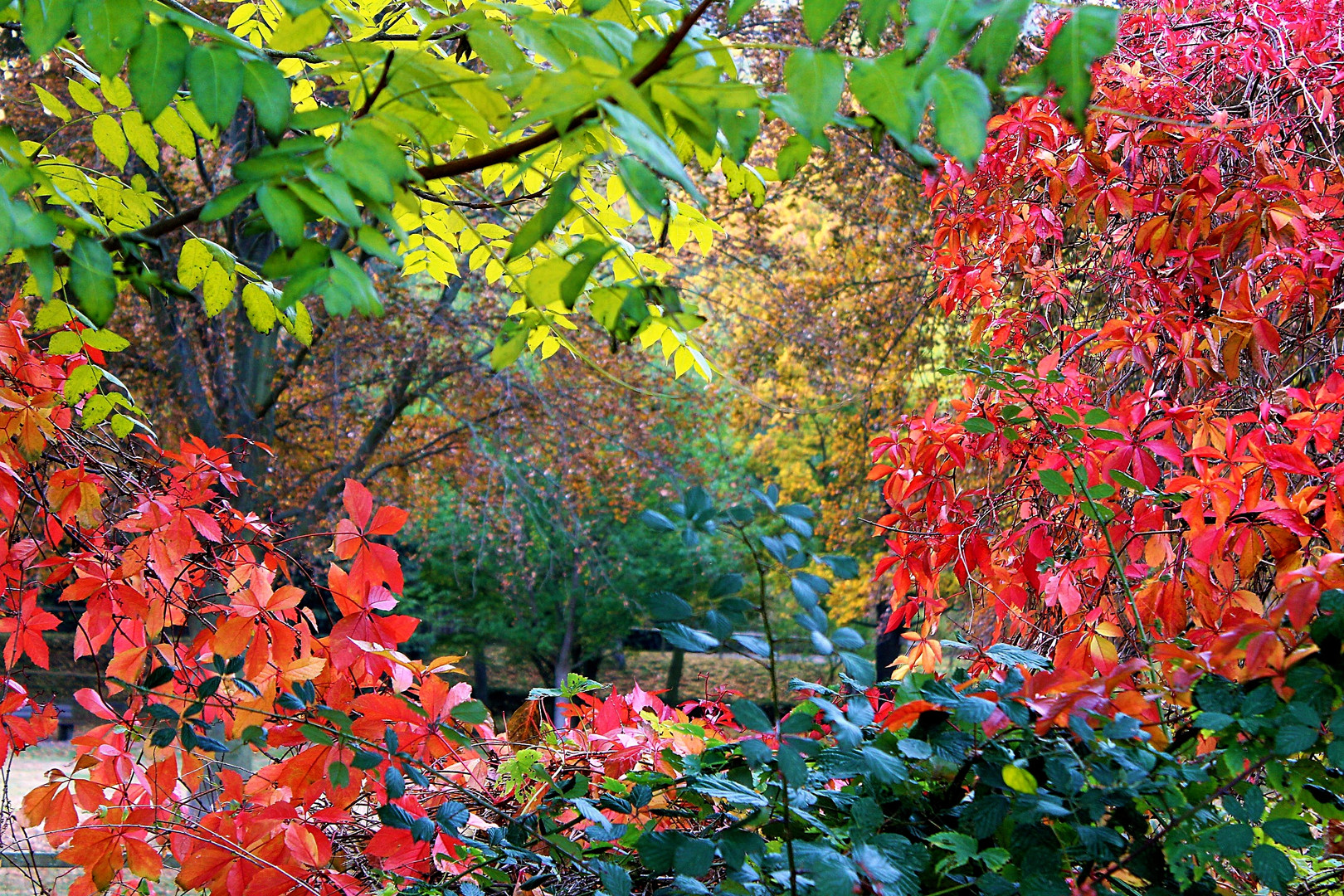 HerbstFarben