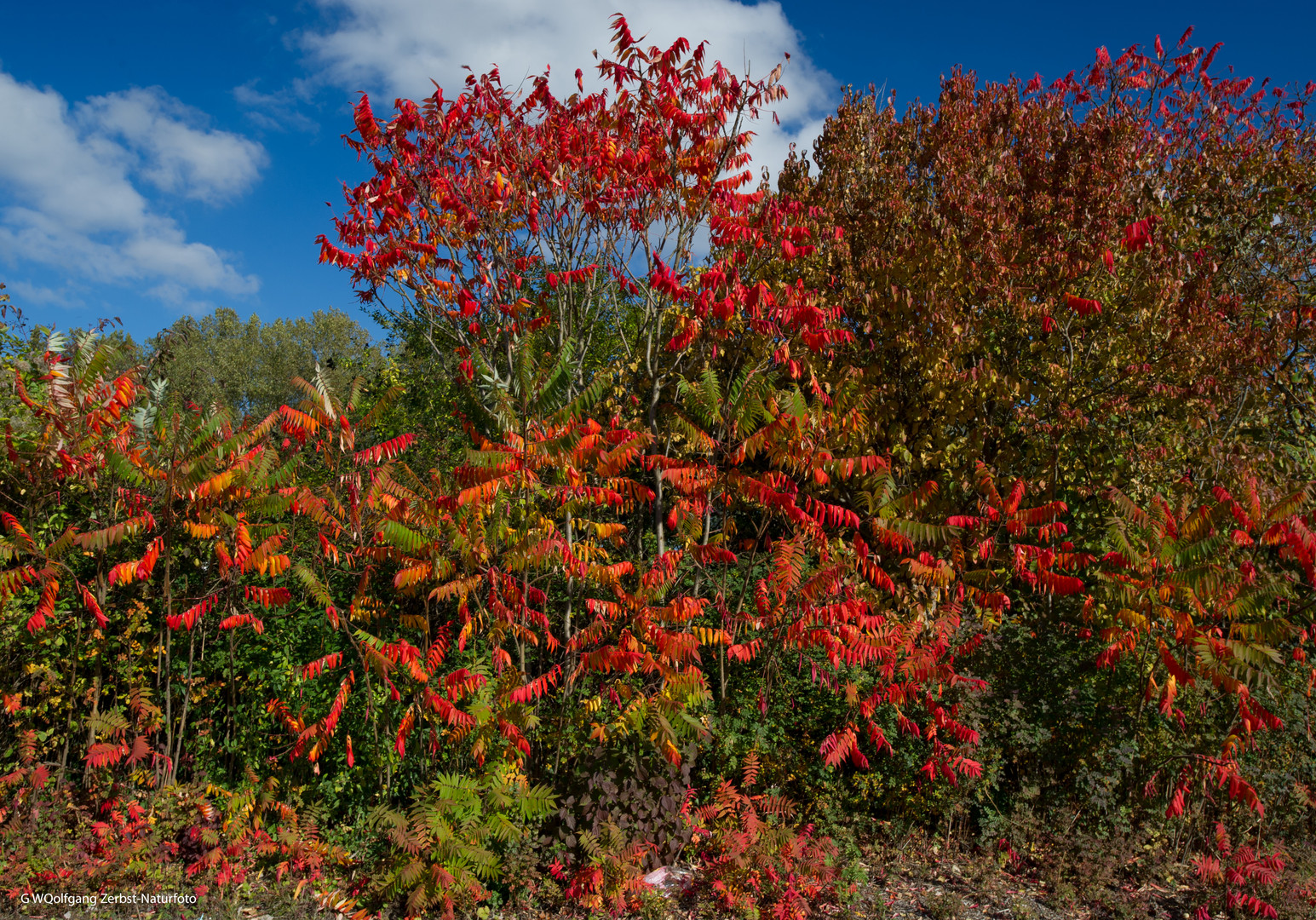 ---  Herbstfarben ---