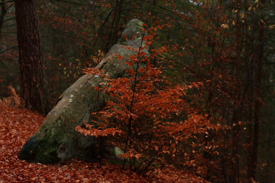 Herbstfarben