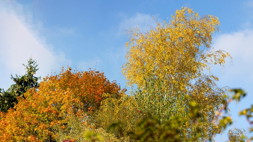Herbst_Farben