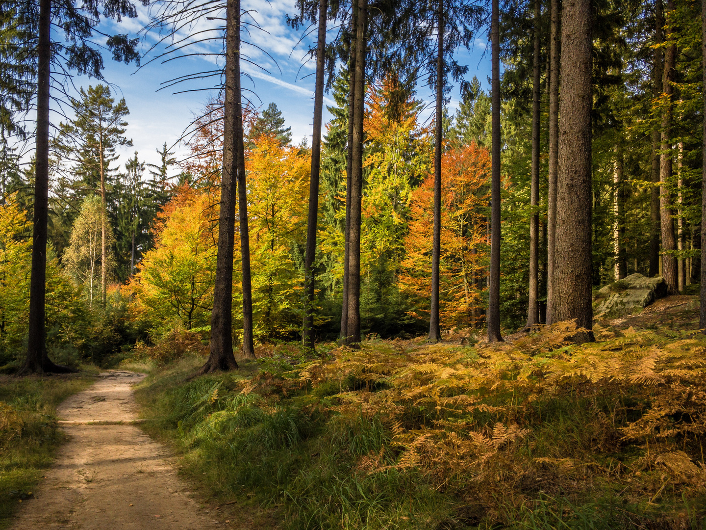 Herbstfarben