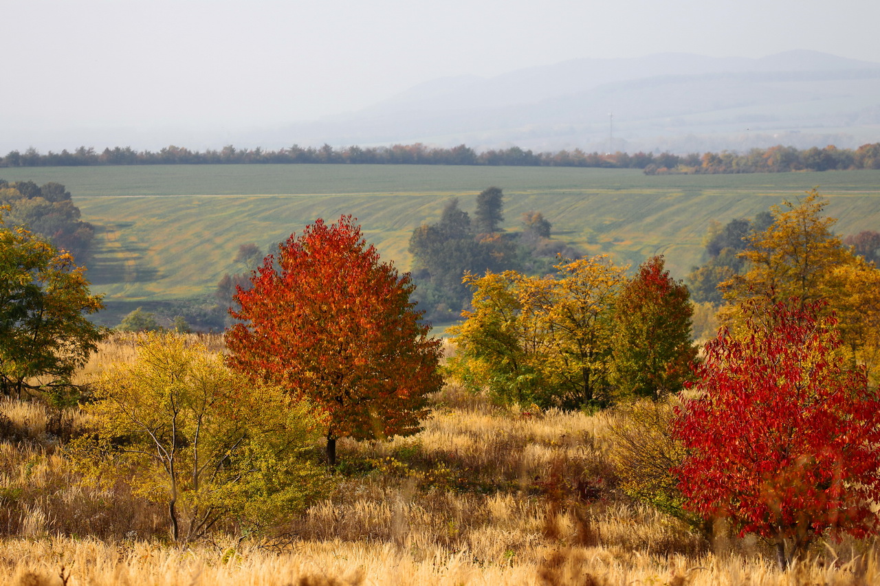 Herbstfarben