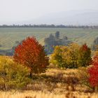 Herbstfarben