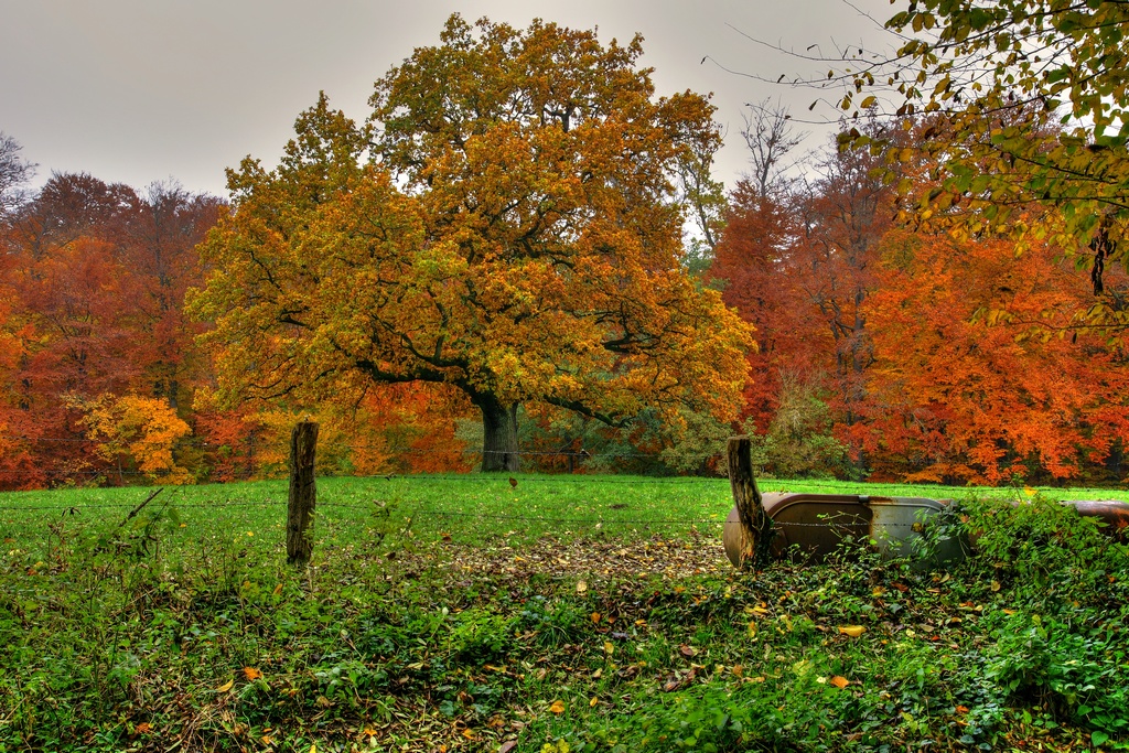 Herbstfarben