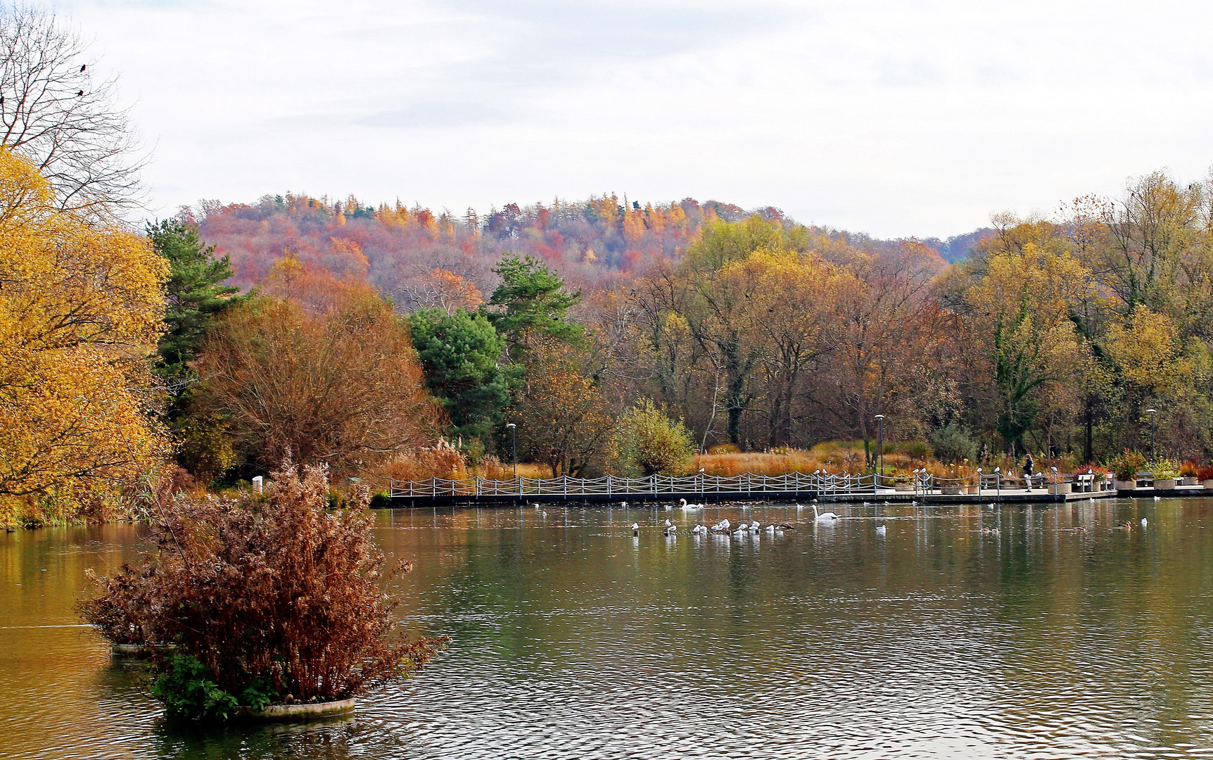 Herbstfarben