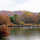 Herbstfarben