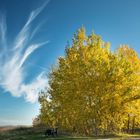 Herbstfarben