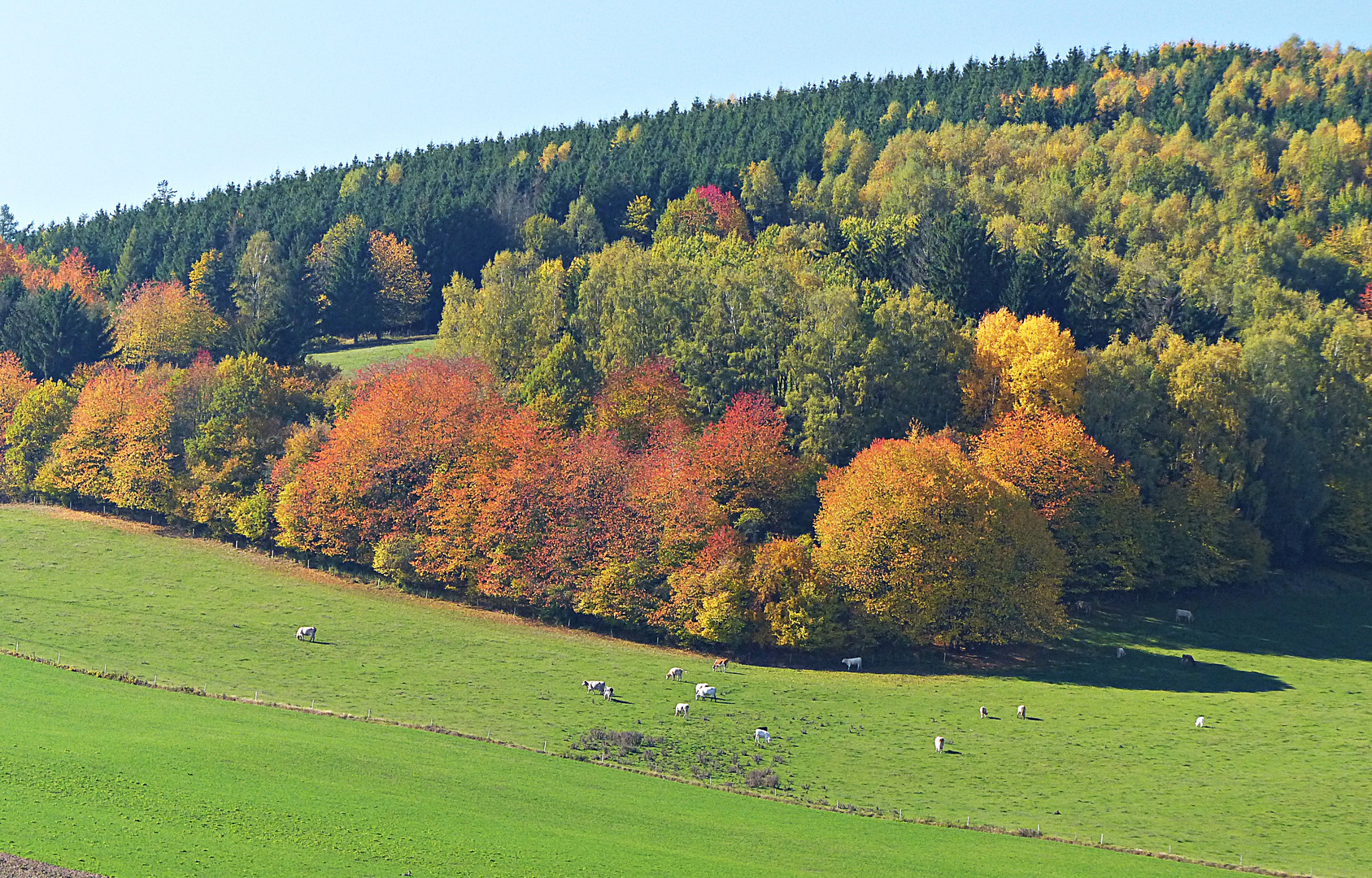 Herbstfarben