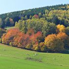 Herbstfarben