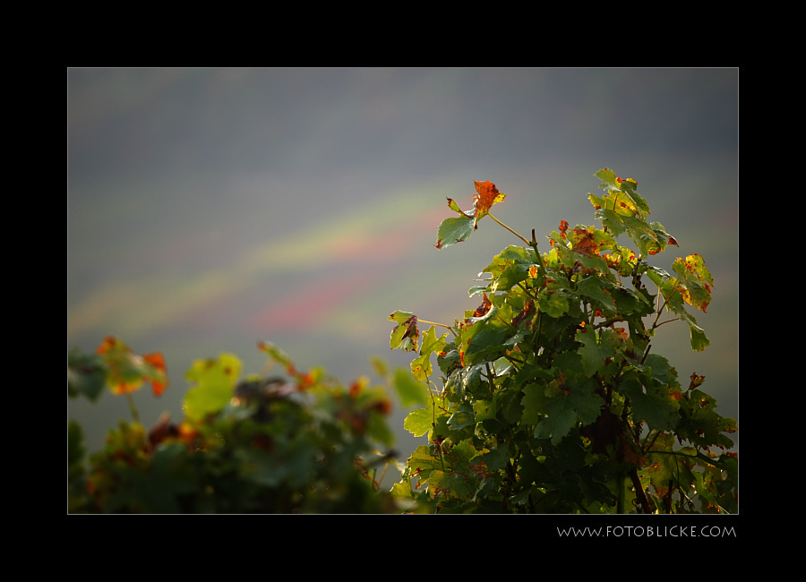 HerbstFarben