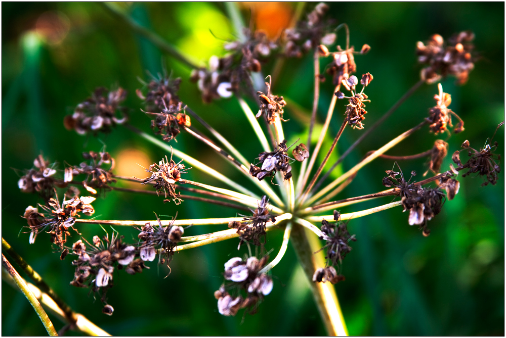 Herbstfarben