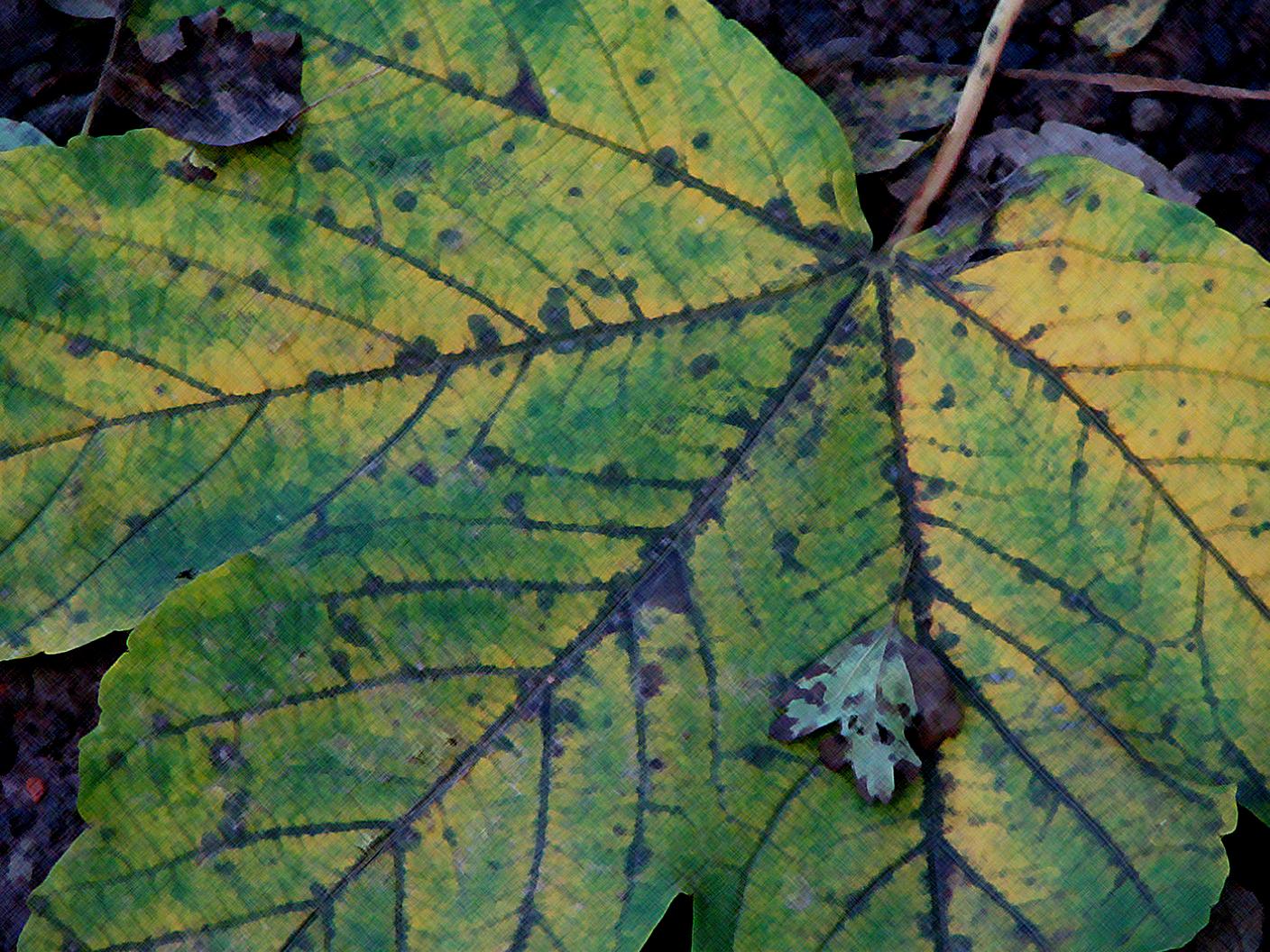 Herbstfarben :)