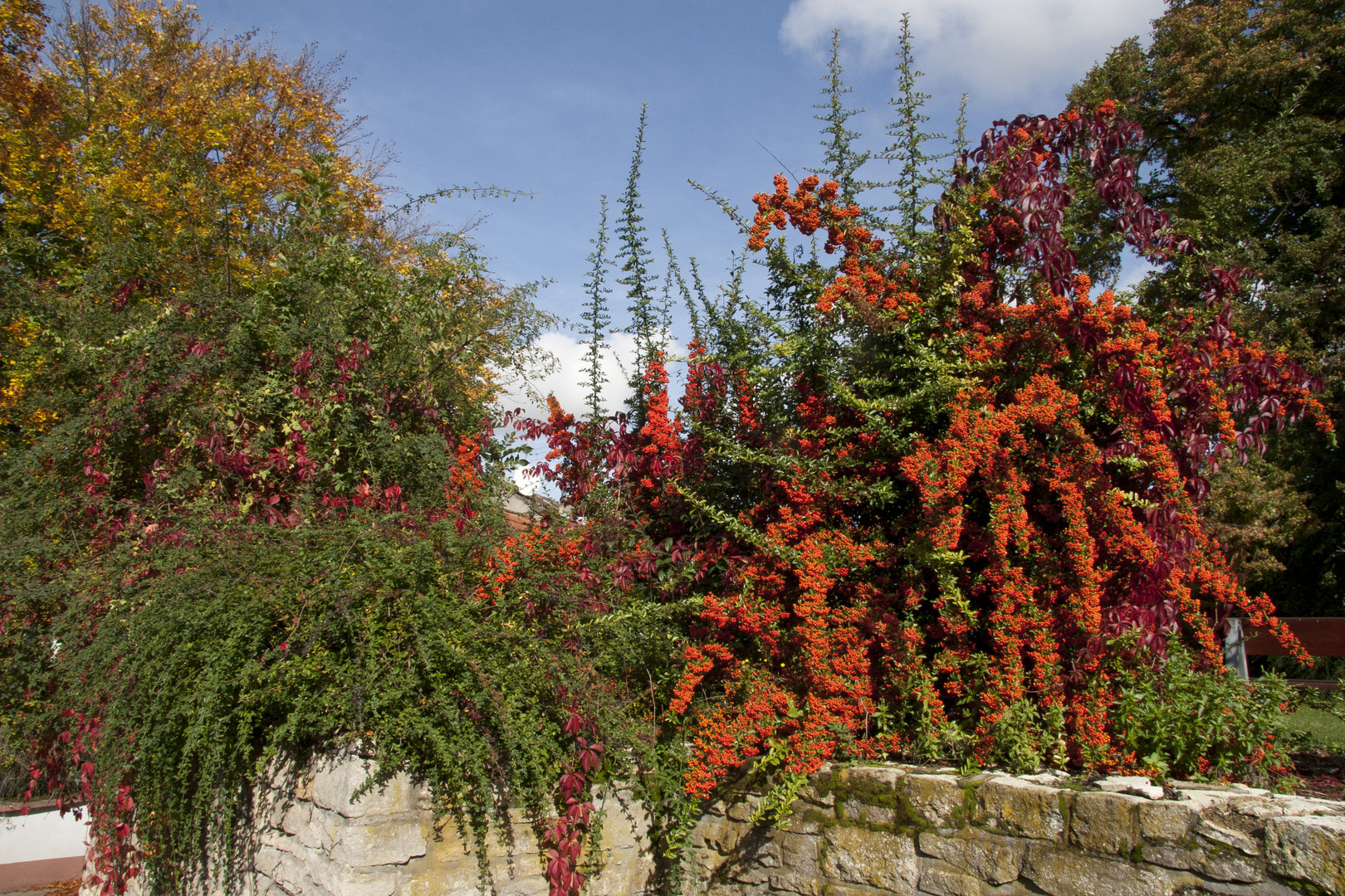 Herbstfarben