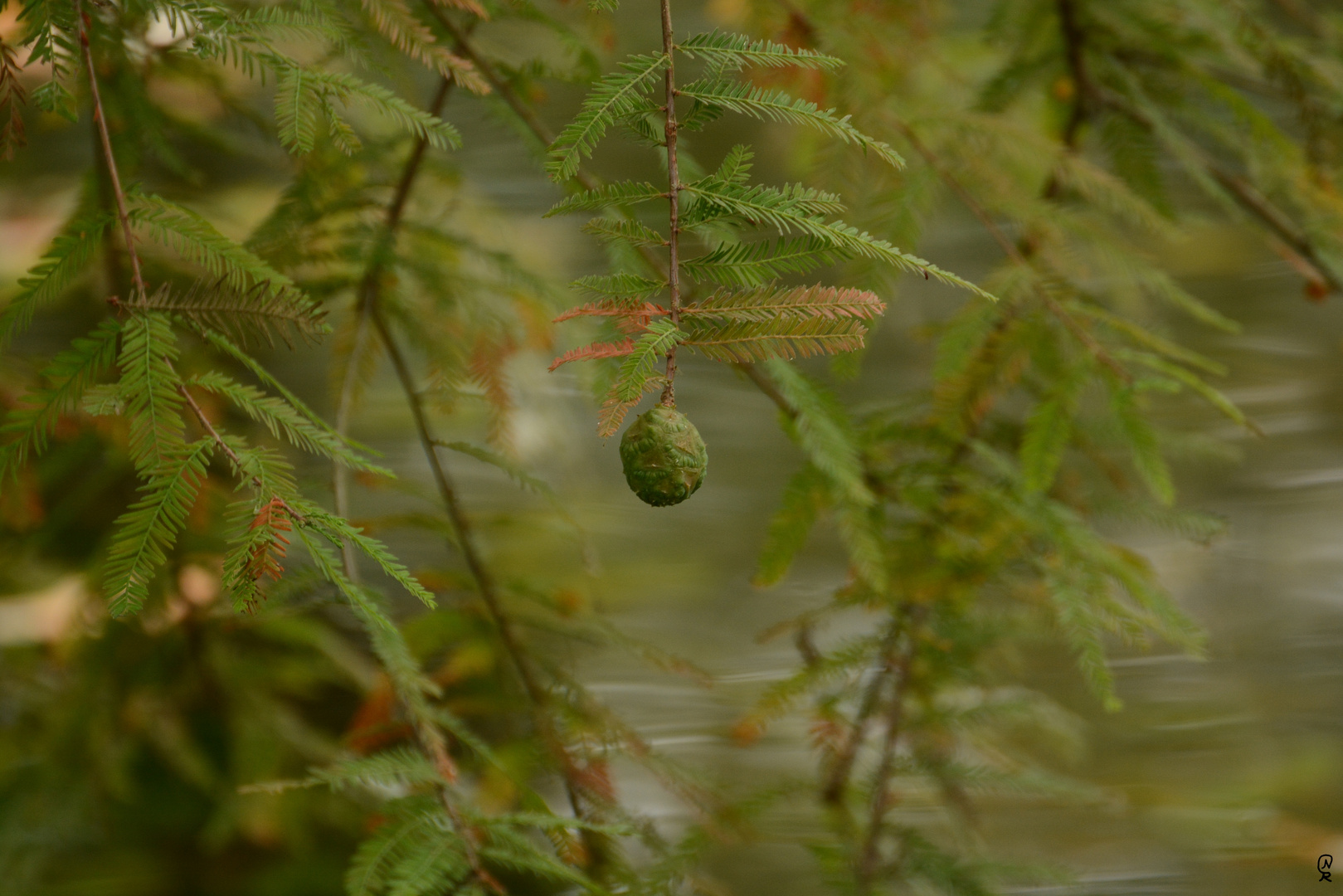 Herbstfarben