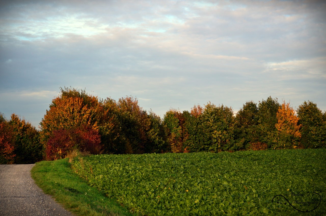 Herbstfarben