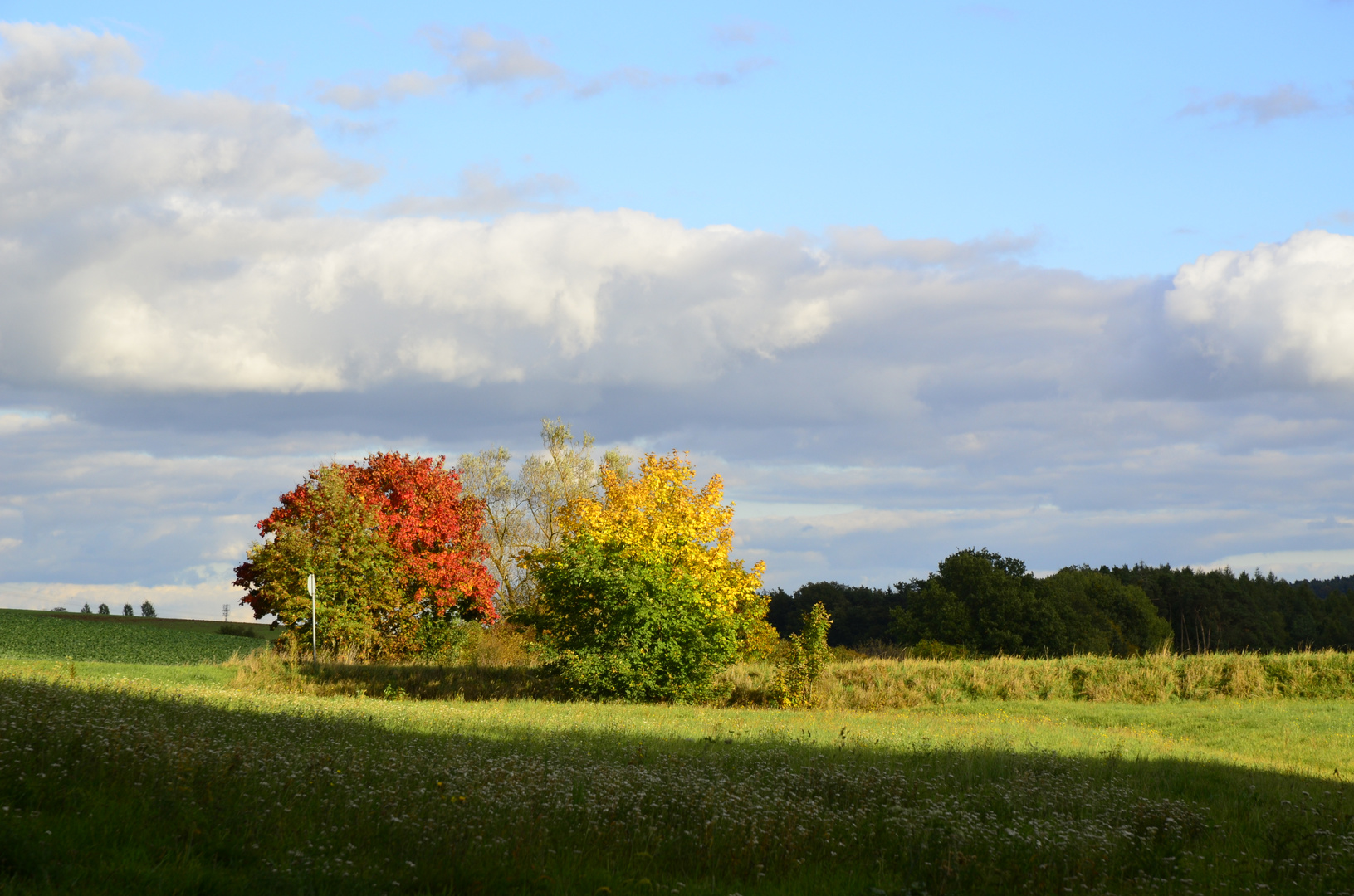 Herbstfarben