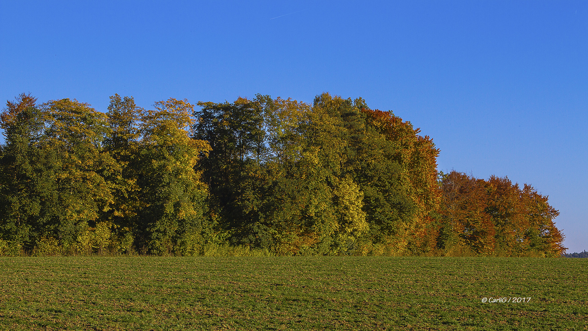 Herbstfarben