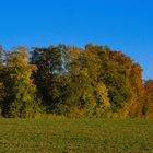 Herbstfarben