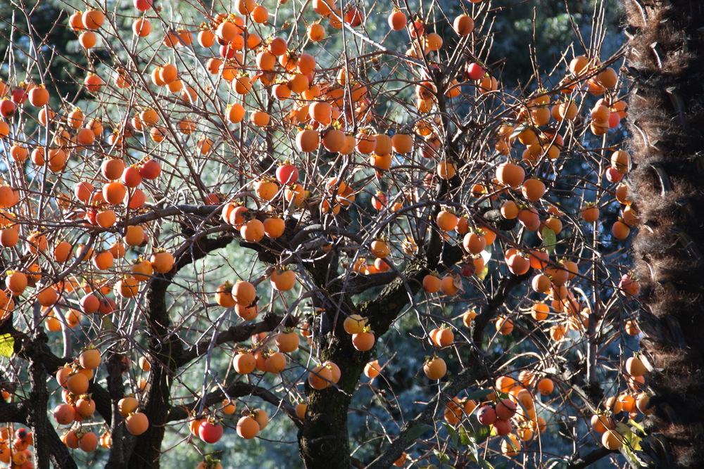 Herbstfarben