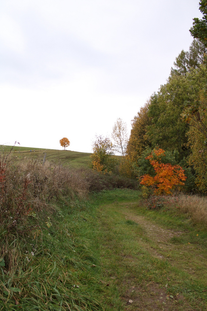 Herbstfarben