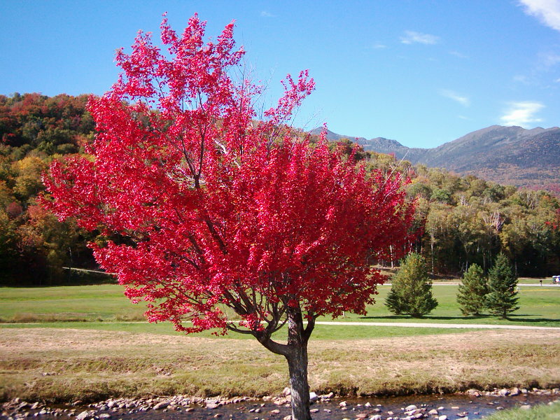 Herbstfarben