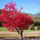 Herbstfarben