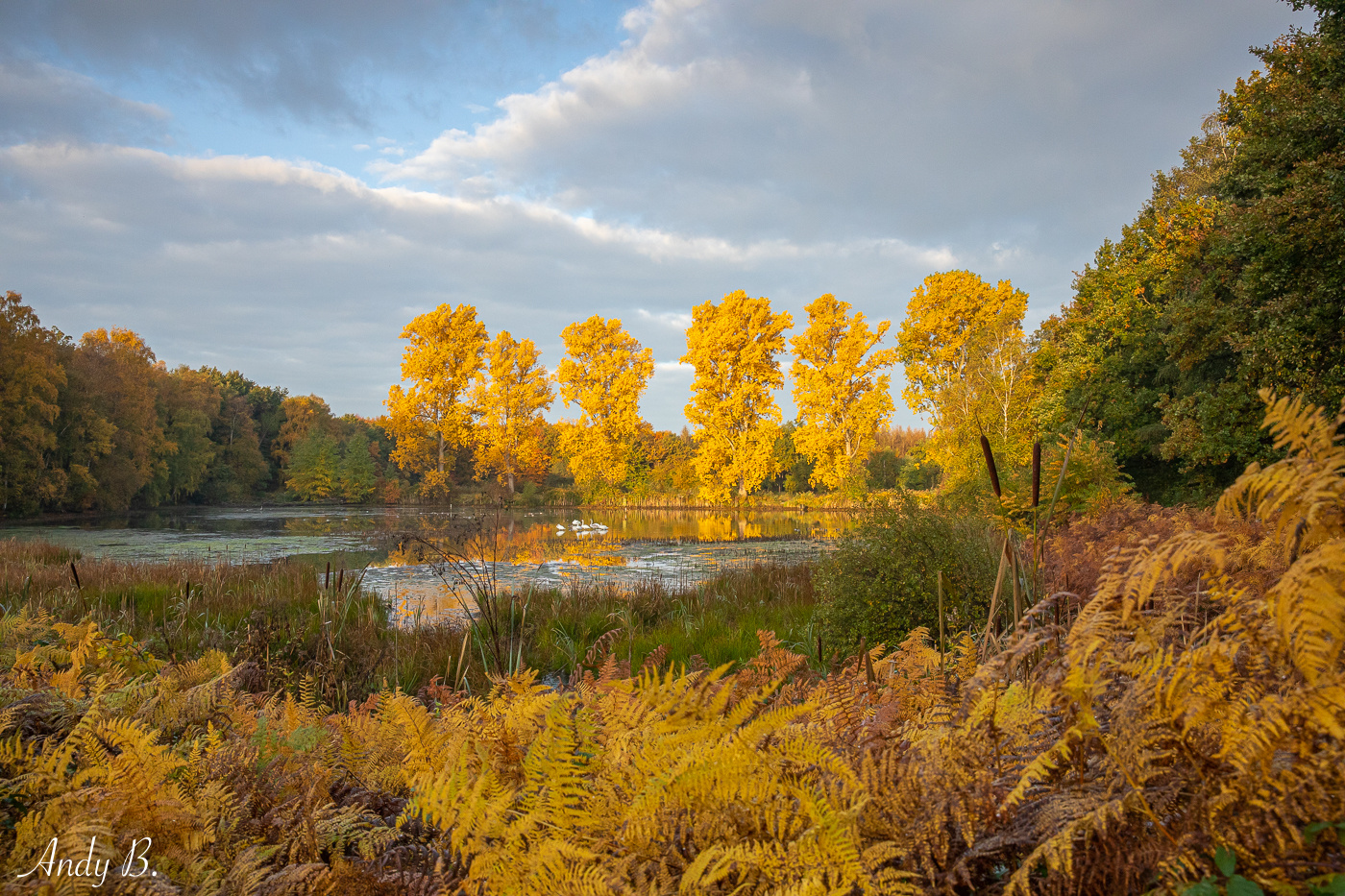 Herbstfarben