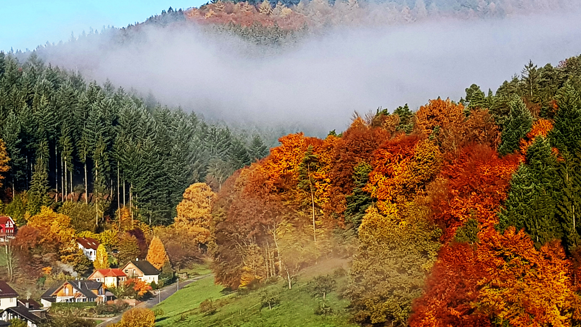 Herbstfarben