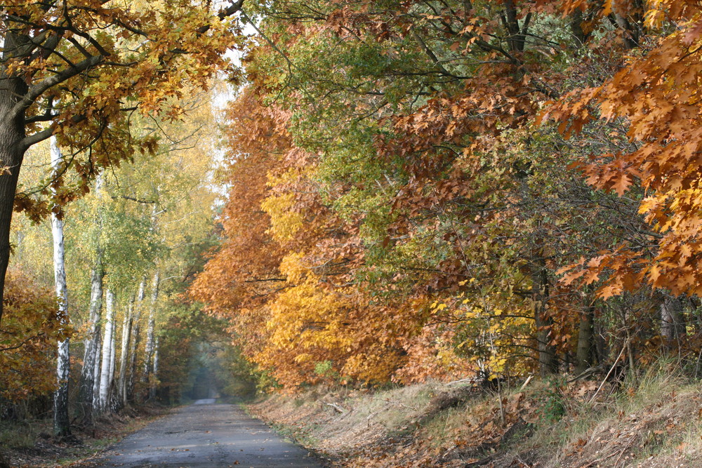 Herbstfarben