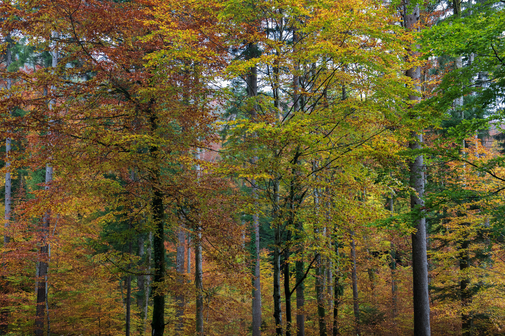 Herbstfarben