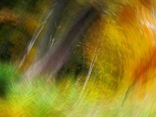 Herbstfarben 60