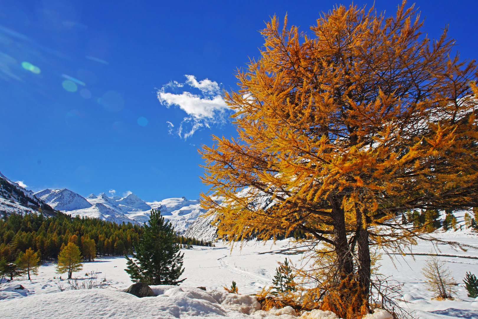 Herbstfarben