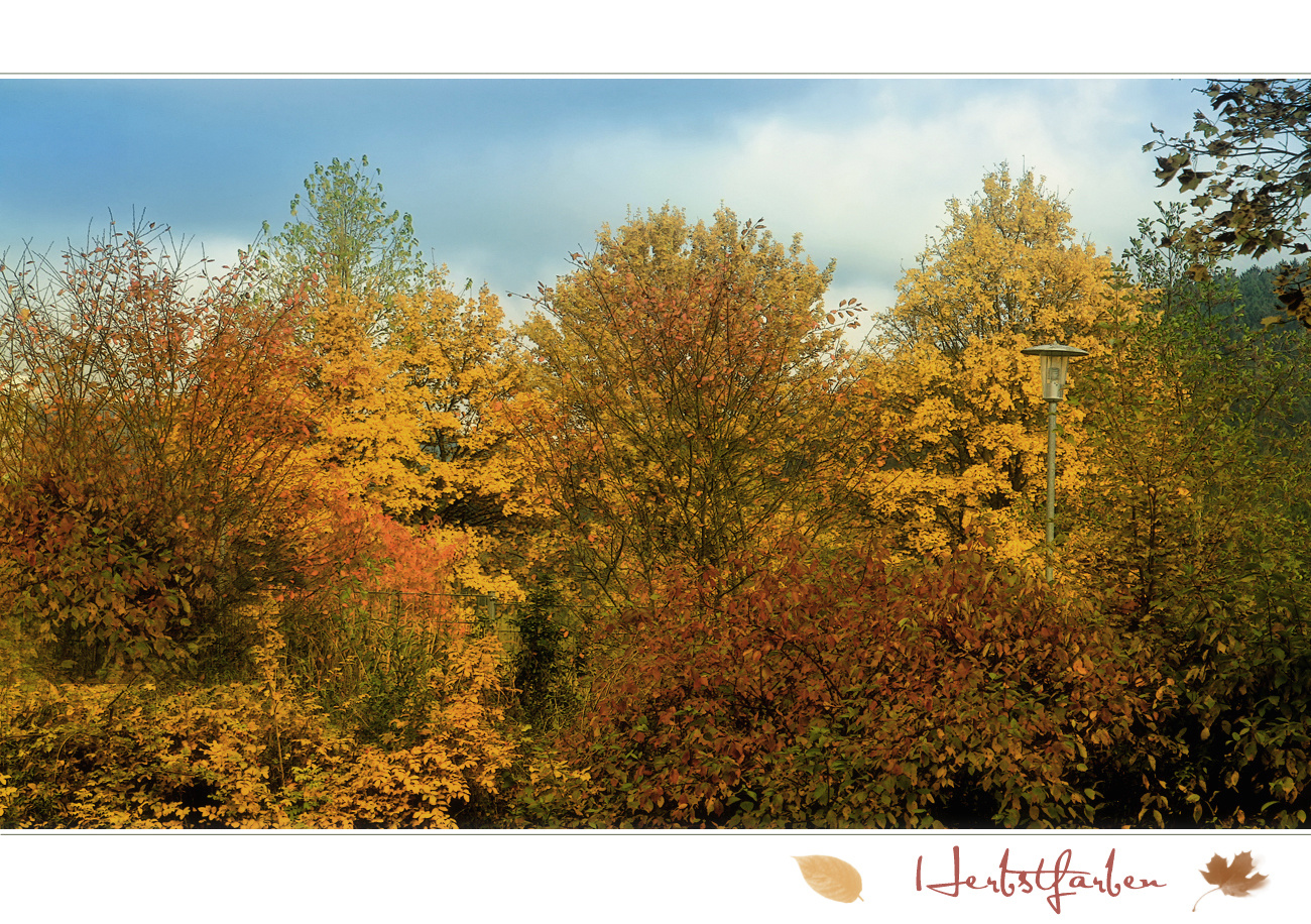 HERBSTFARBEN