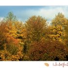 HERBSTFARBEN