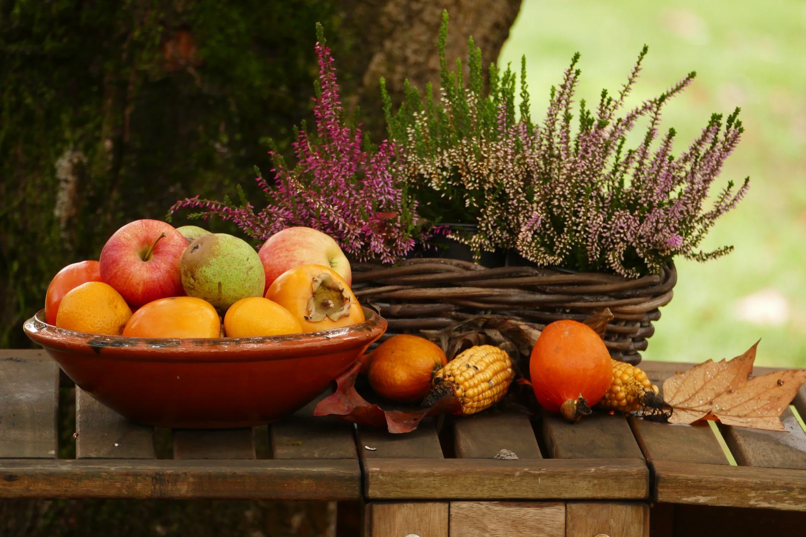 Herbstfarben