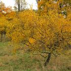 Herbstfarben