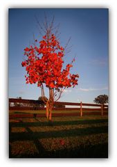 Herbstfarben